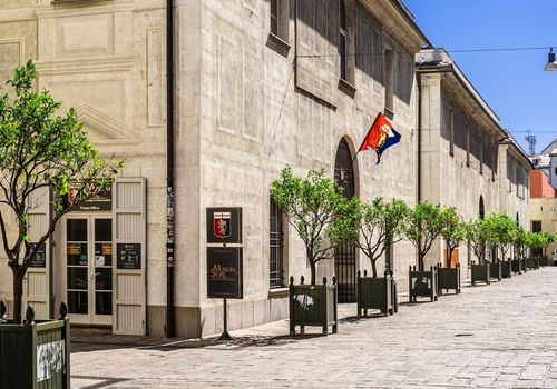 Museum of the His...