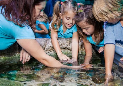 SEA LIFE San Ant...