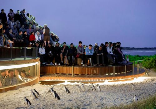 Phillip Island ...