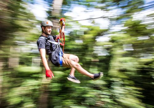 Treetop Challen...