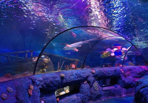 SEA LIFE Malaysia