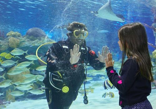 Emaar Aquarium