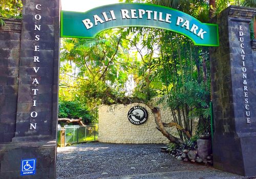 Bali Reptile...