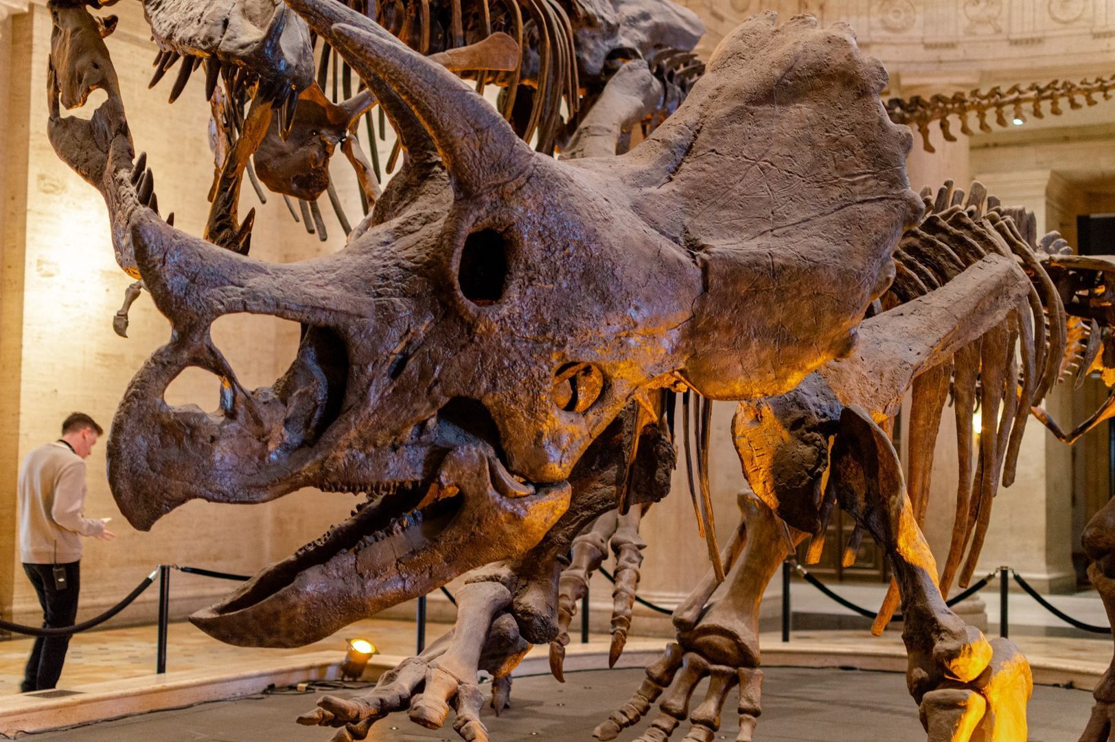 Los Angeles: Natural History Museum Ticket & Audio Tour