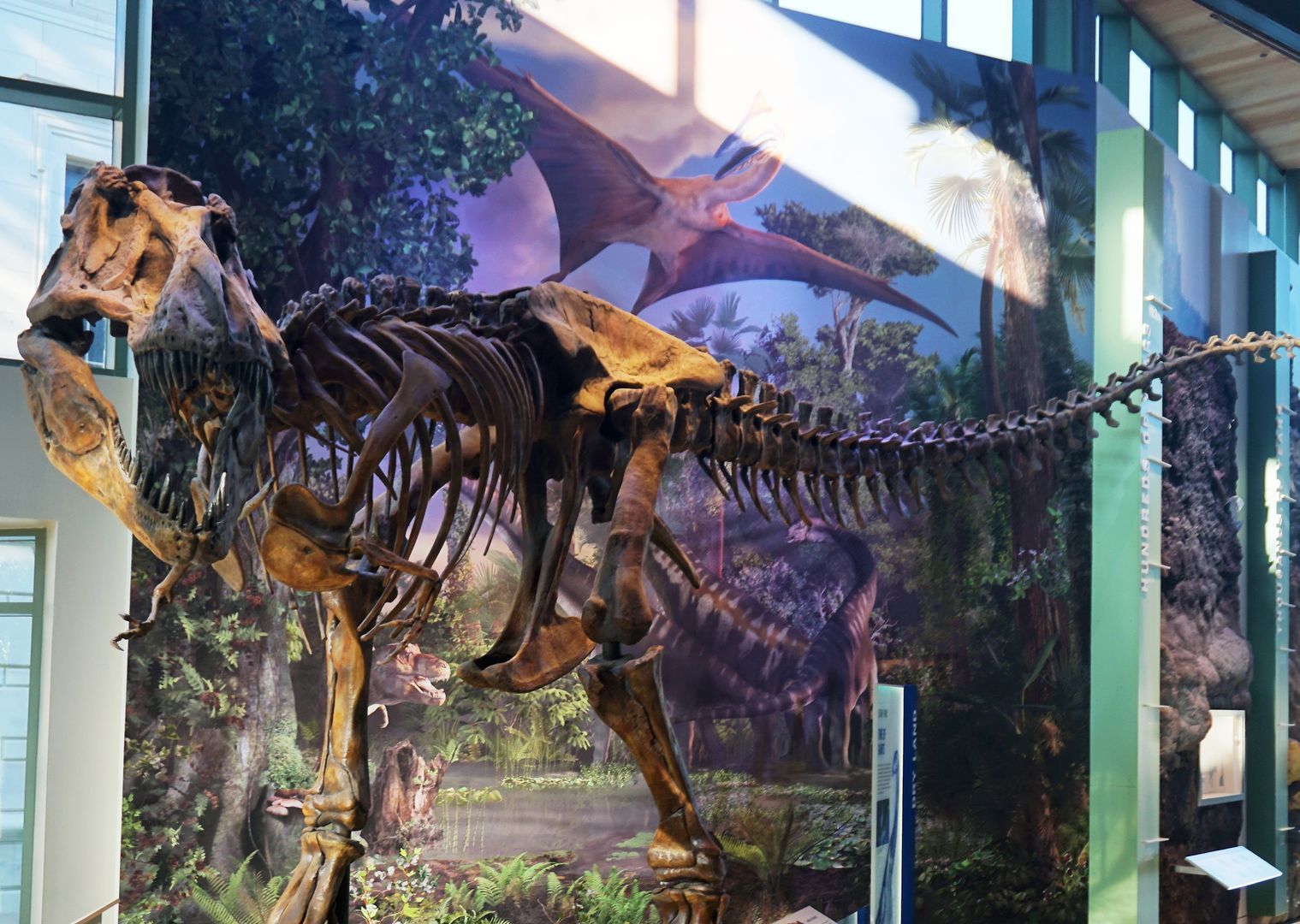 Witte Museum: History, Culture and Nature of Texas