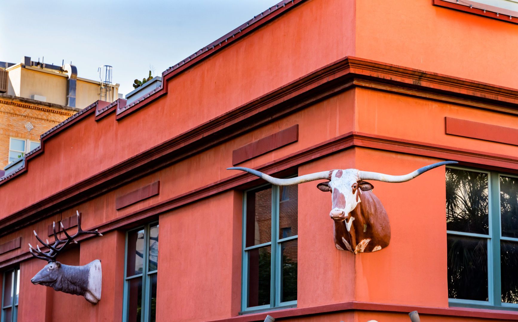 Buckhorn Saloon and Museum: Full Texas Experience