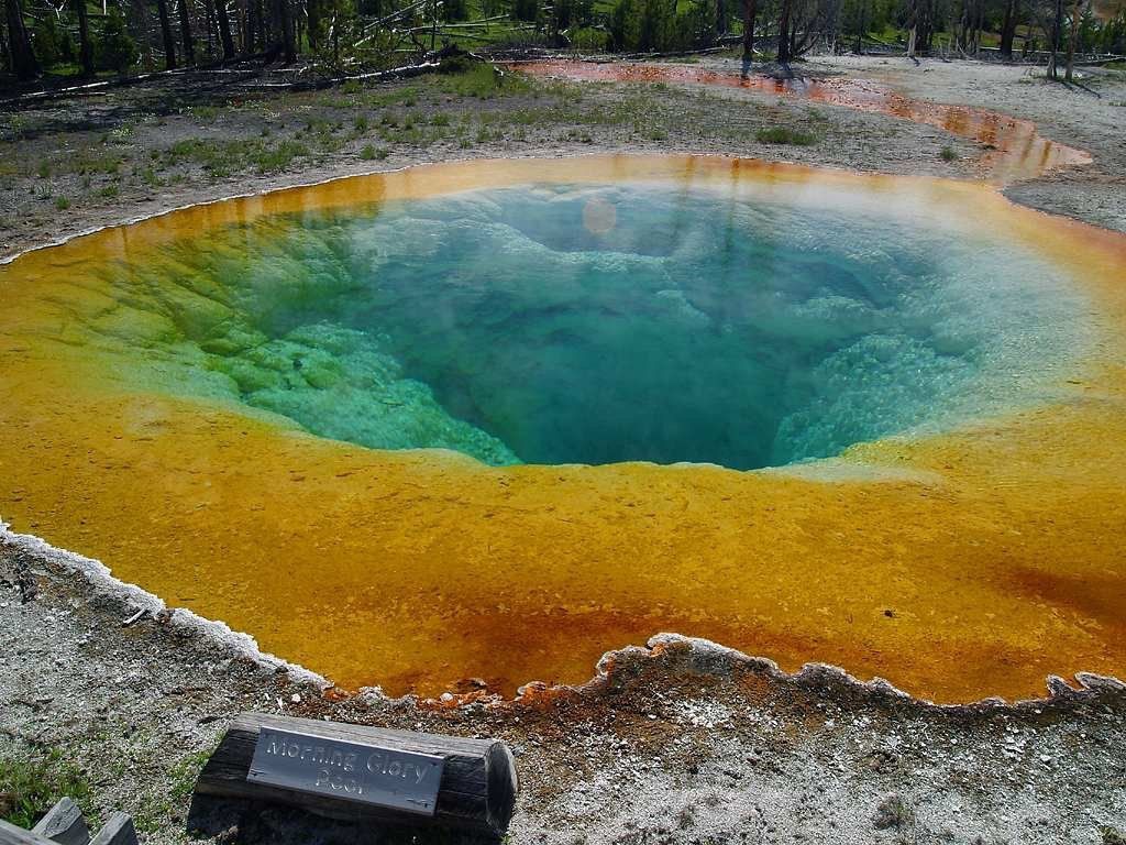 Livingston: Yellowstone National Park Self-Driving Audio Tour - Photo 4