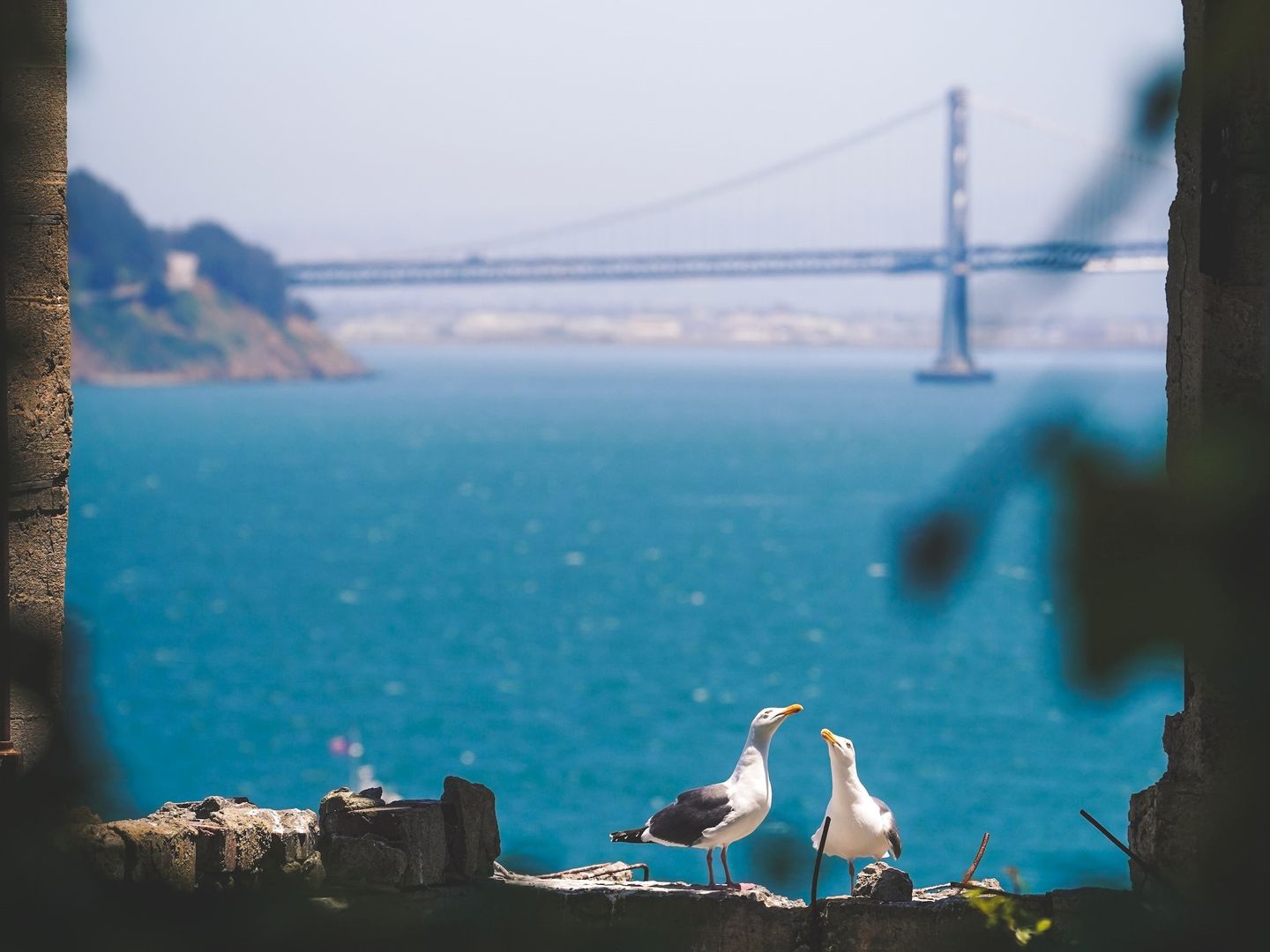 San Francisco: Alcatraz's Untold Stories Audio Tour - Photo 9