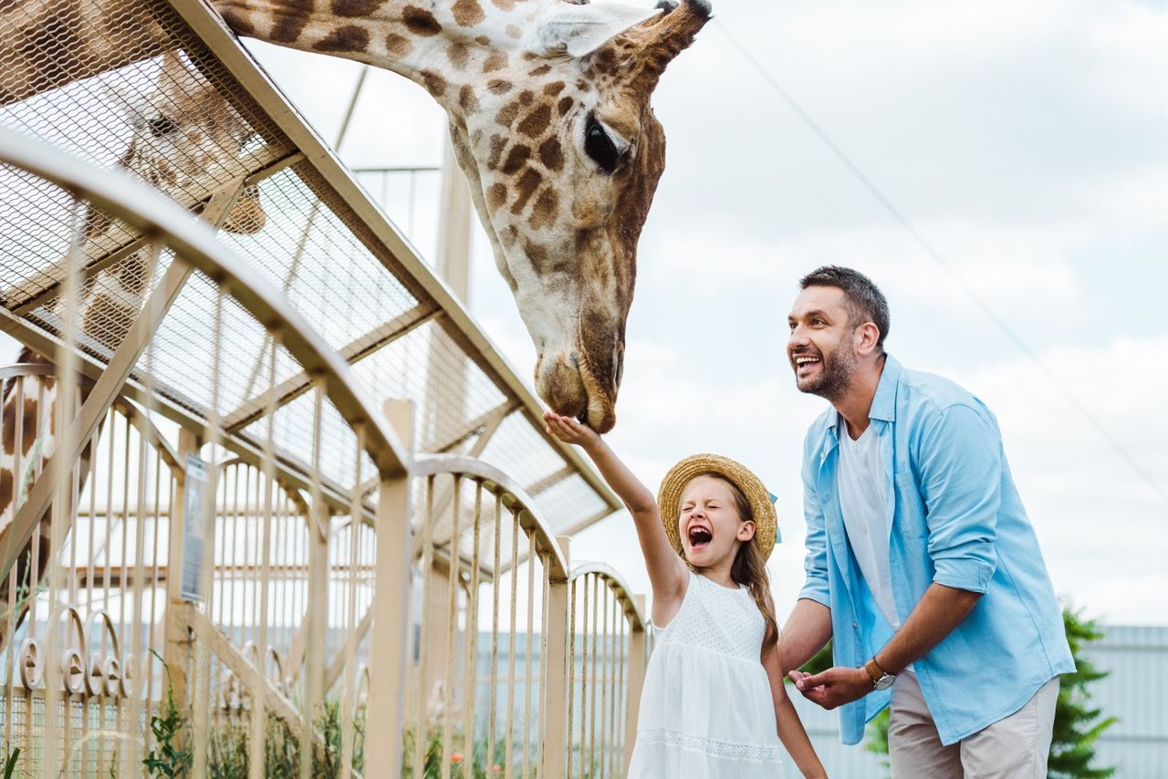Edinburgh Zoo Family Tour: A Wild Adventure Awaits!