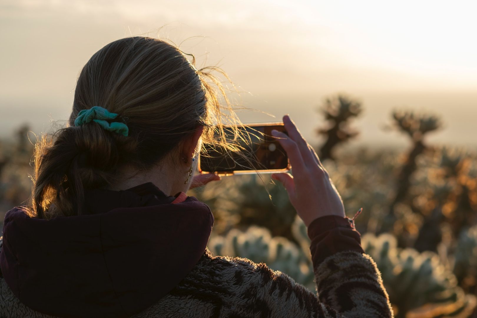 Joshua Tree National Park: A Driving & Hiking Trip through the Desert Wilderness
