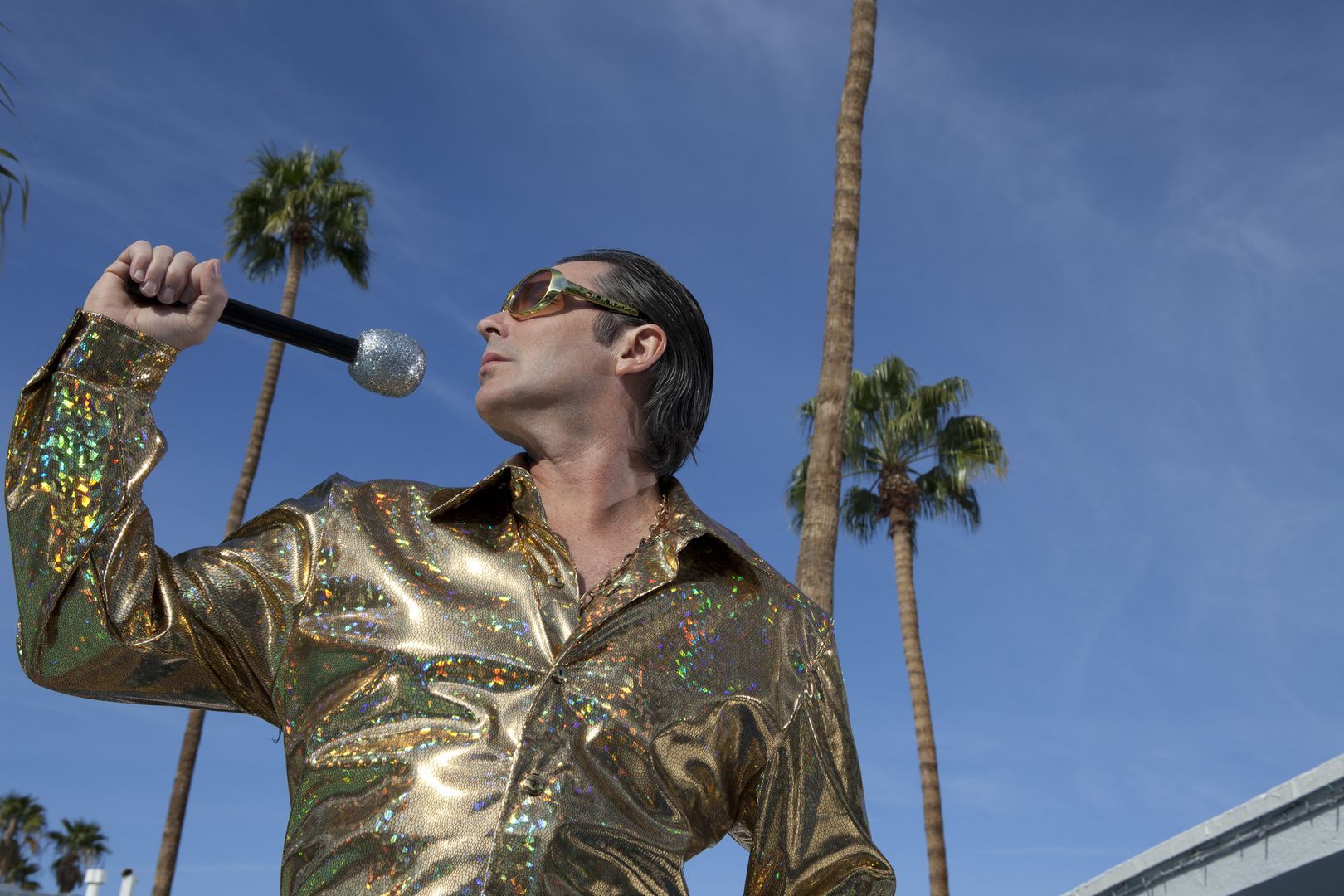 Elvis Presley's Graceland: In-App Audio Tour Through the King's Castle