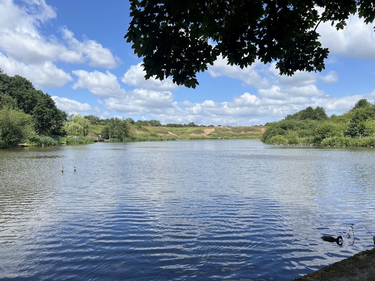 Manchester: Self-Guided Audio Walk Through Daisy Nook’s Waterways episode artwork