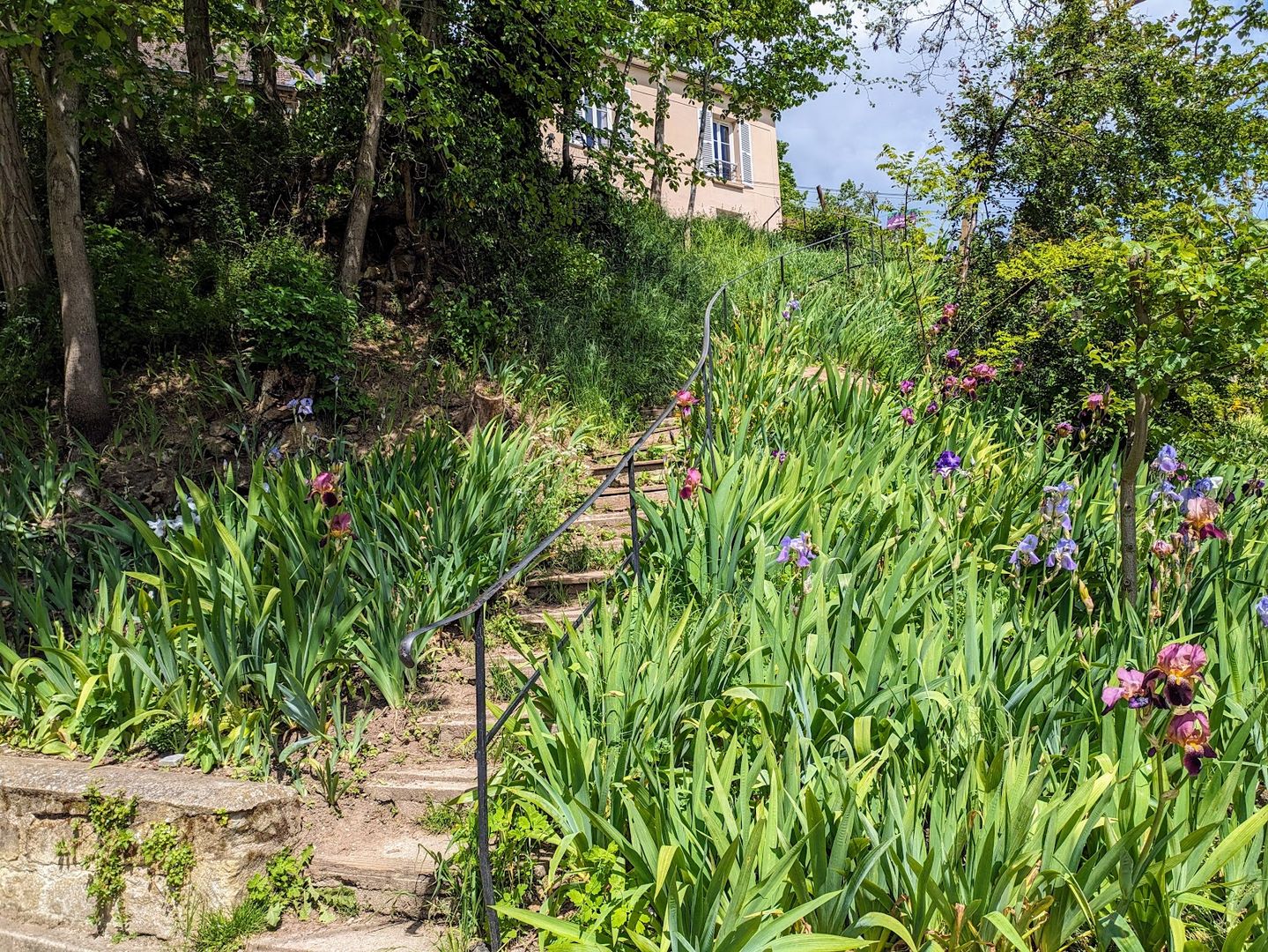 Auvers-sur-Oise: Self-Guided Audio Walk Through Van Gogh's Village episode artwork