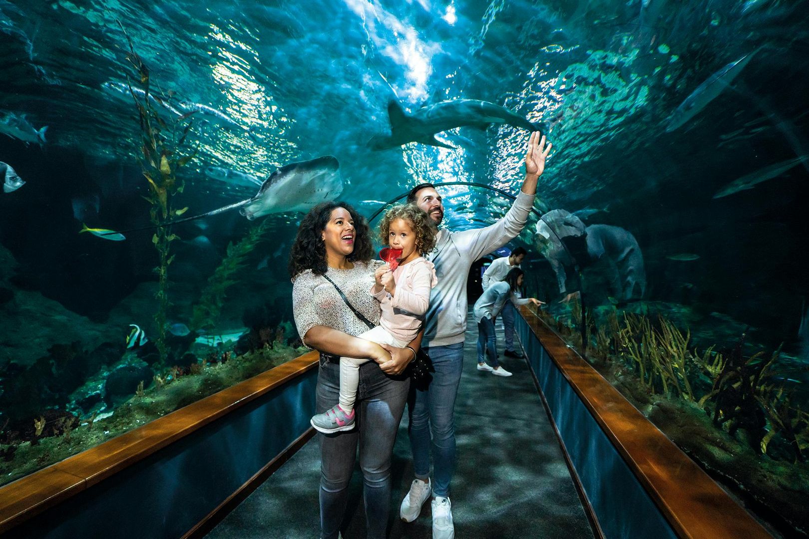 Loro Parque: Entry Ticket