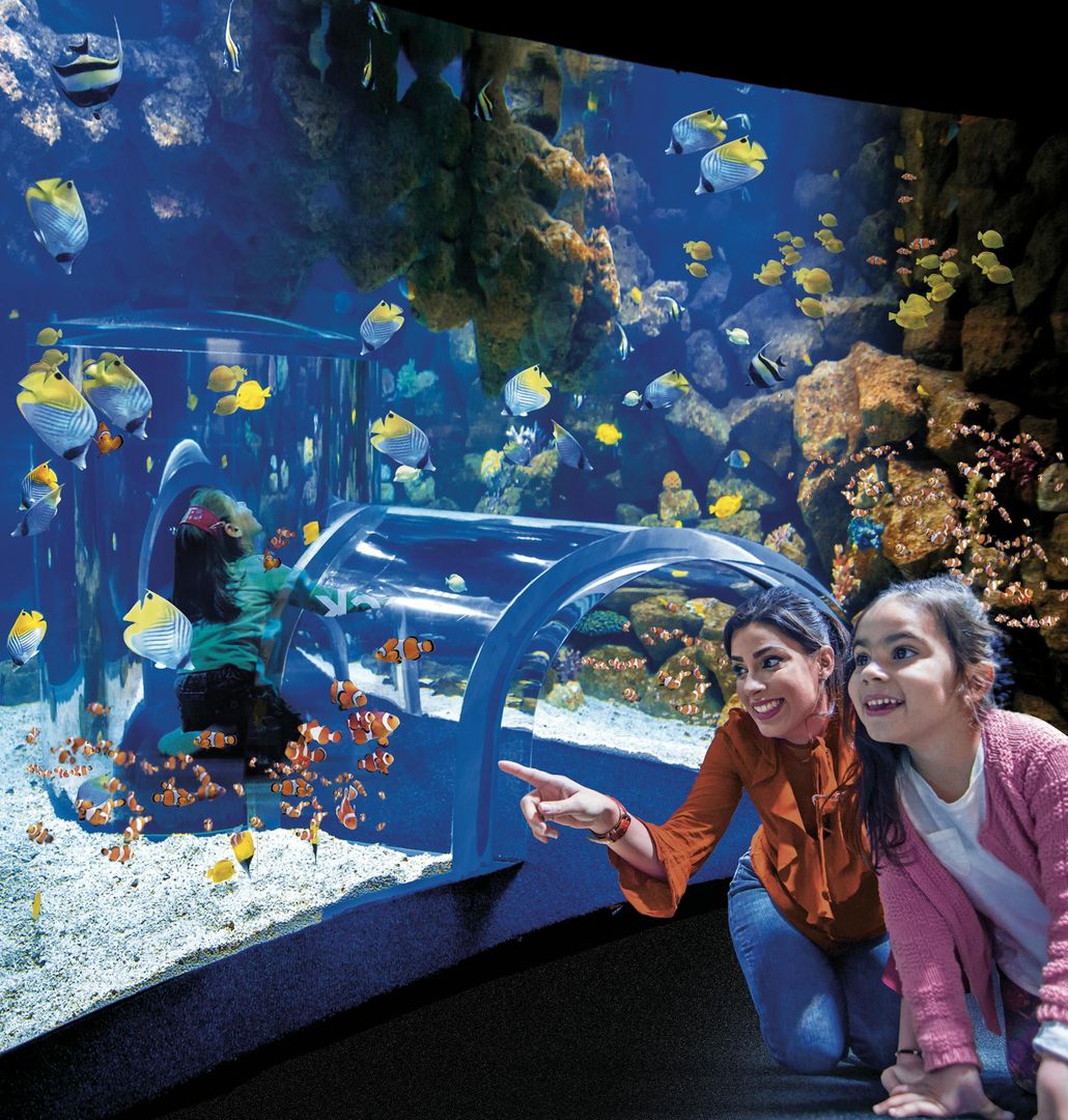 Poema del Mar - Aquarium Gran Canaria: Skip The Line Ticket