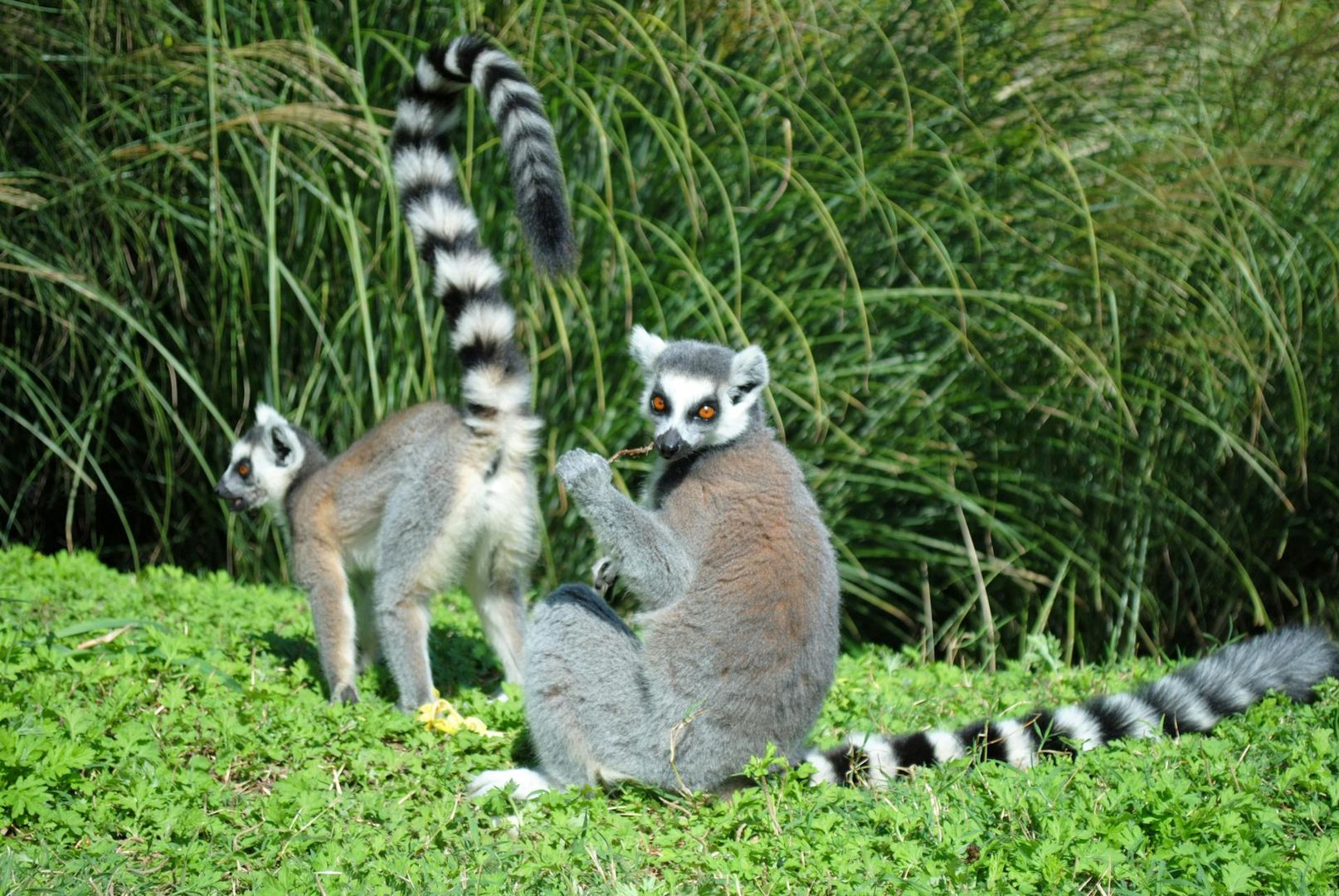 Tour Image