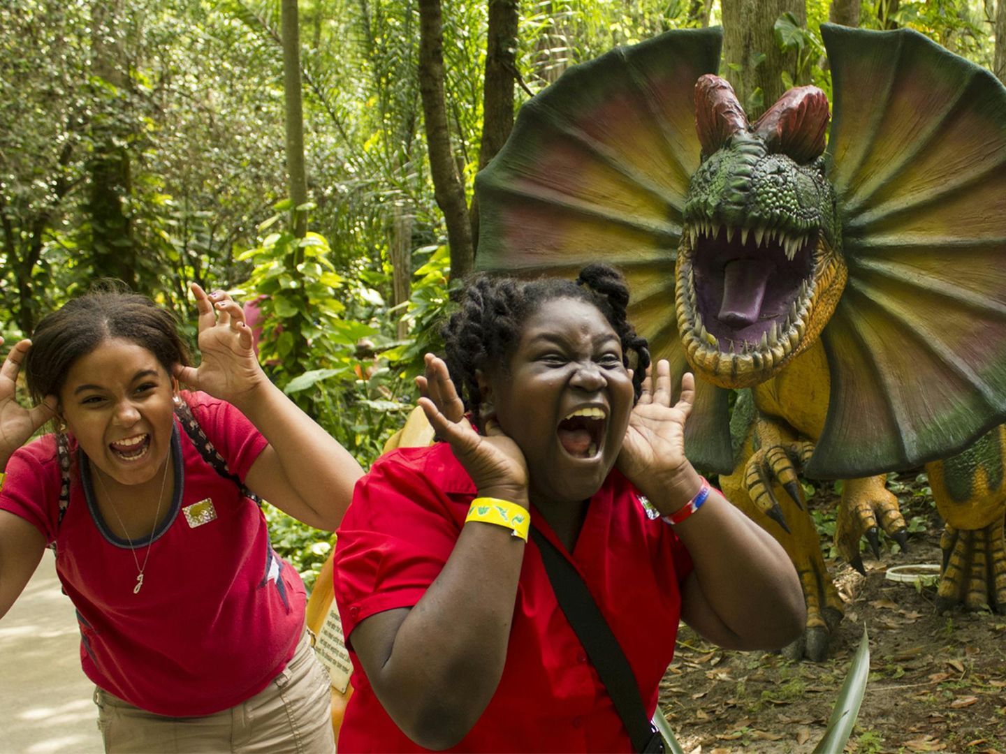 Dinosaur World Florida: Entry Ticket