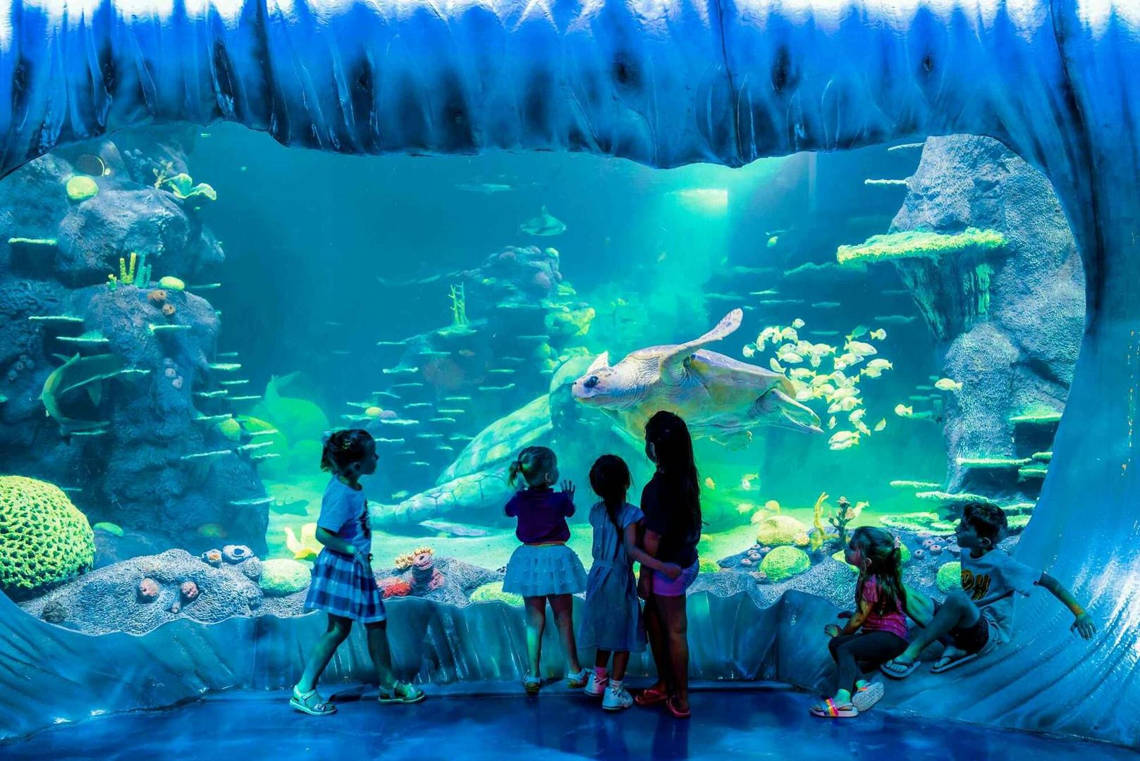 SEA LIFE Sydney Aquarium: Entry Ticket