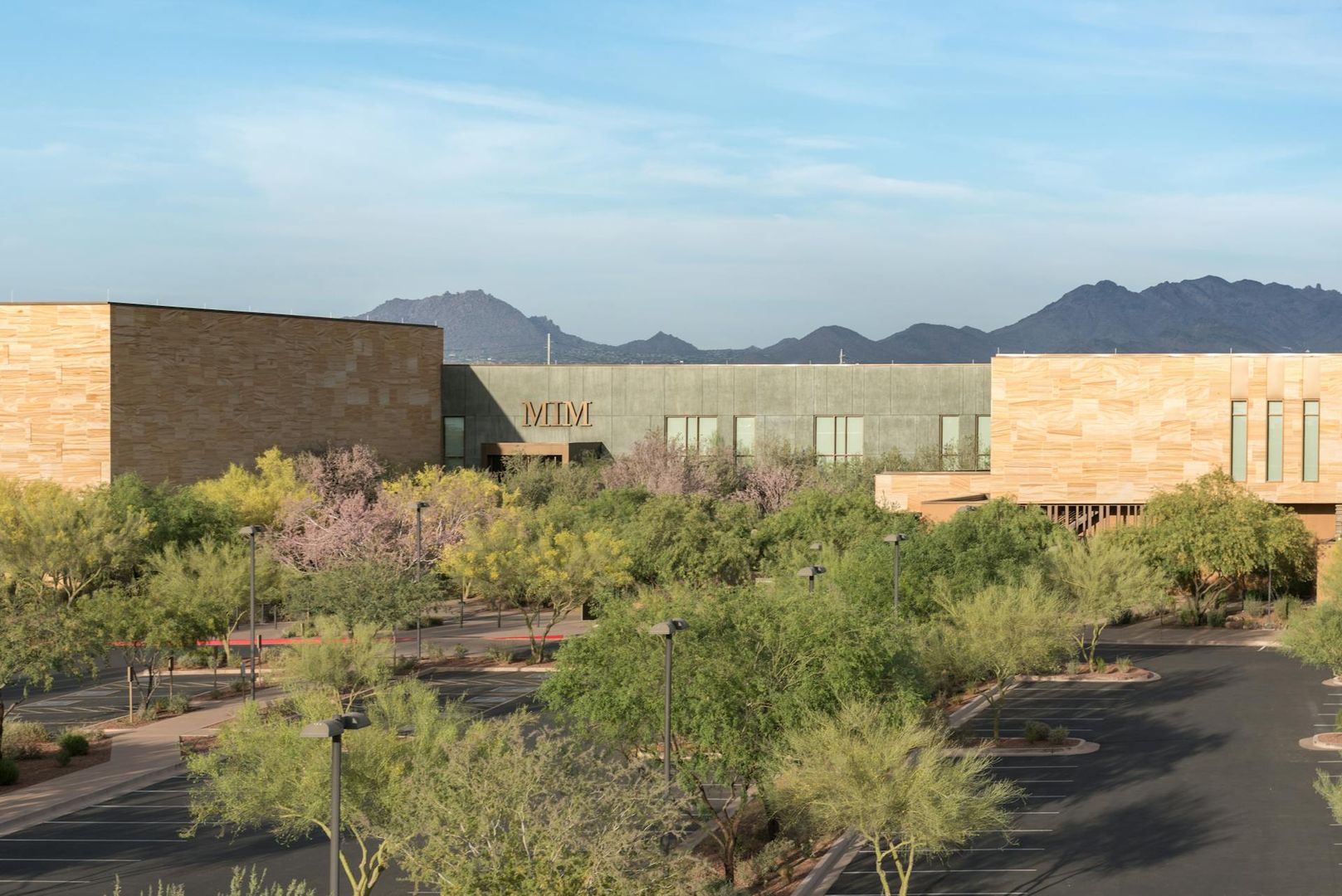 Musical Instrument Museum: Entry Ticket