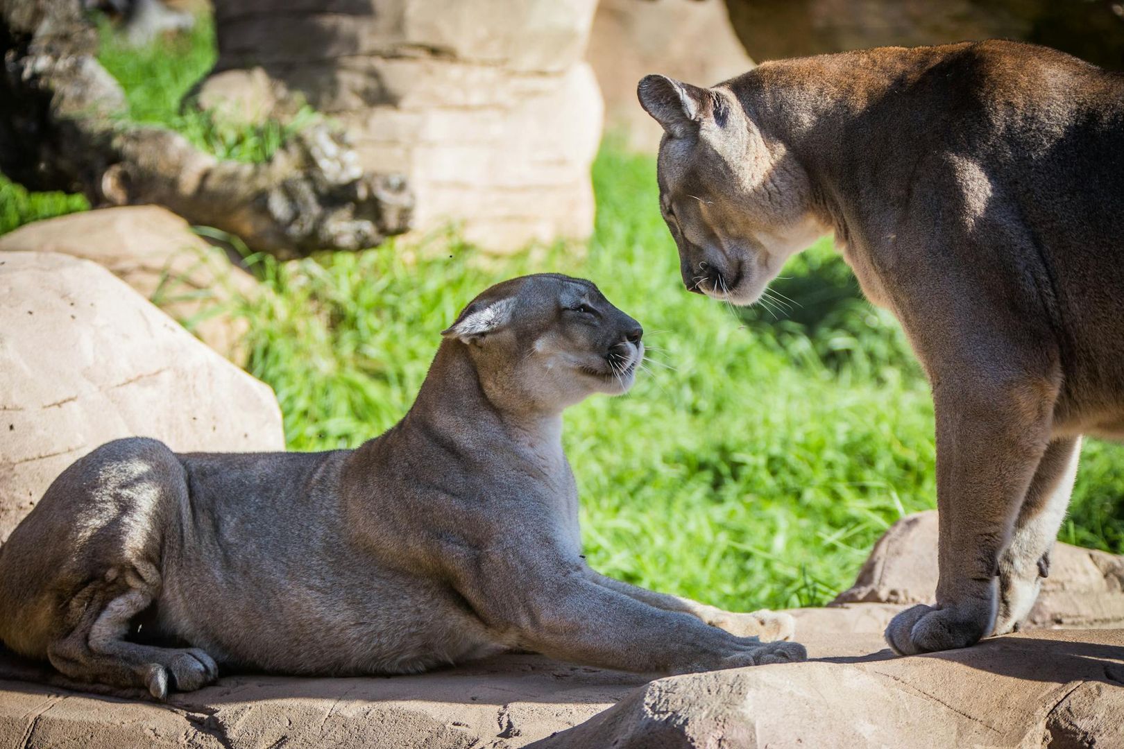 Rancho Texas Lanzarote Park: Entry Ticket