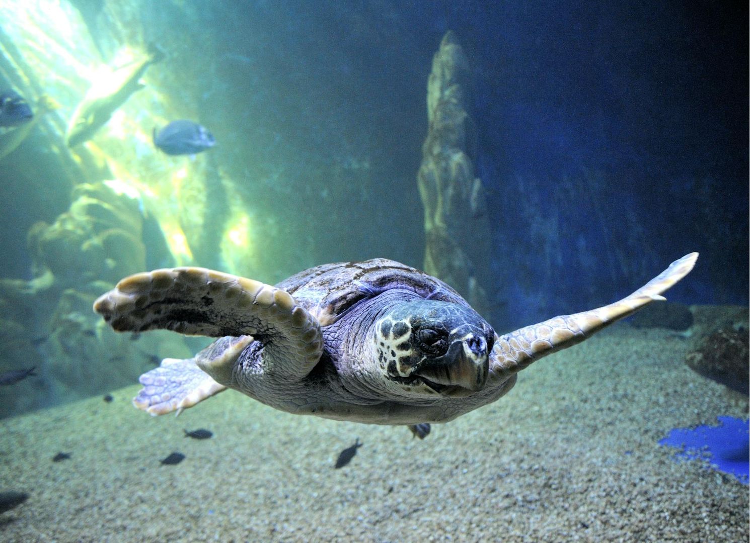 Aquarium of Cala Gonone: Entry Ticket