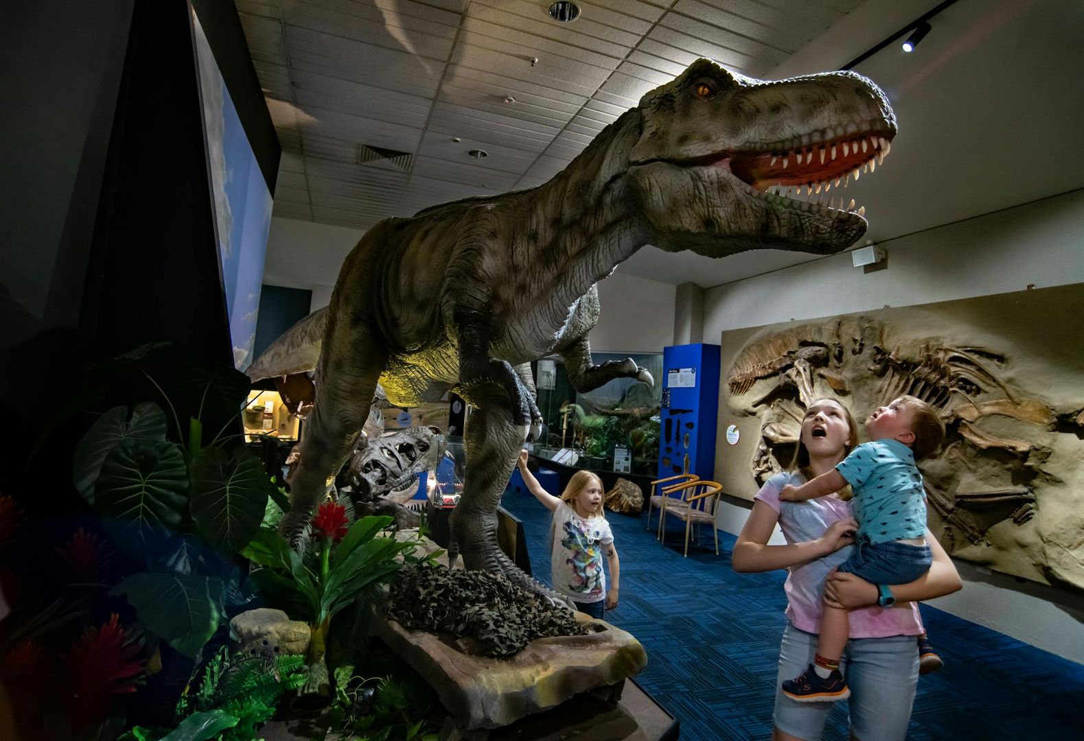 National Dinosaur Museum: Skip The Line Ticket