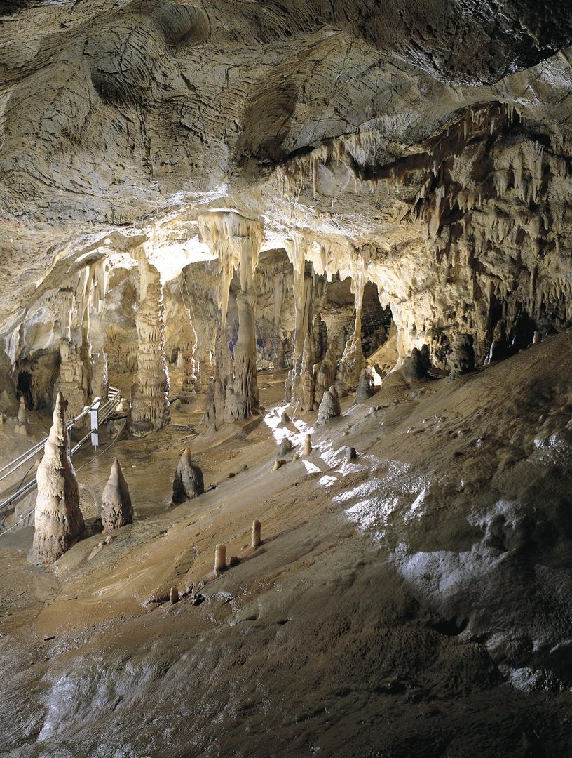 Toirano Caves: Fast Track Ticket