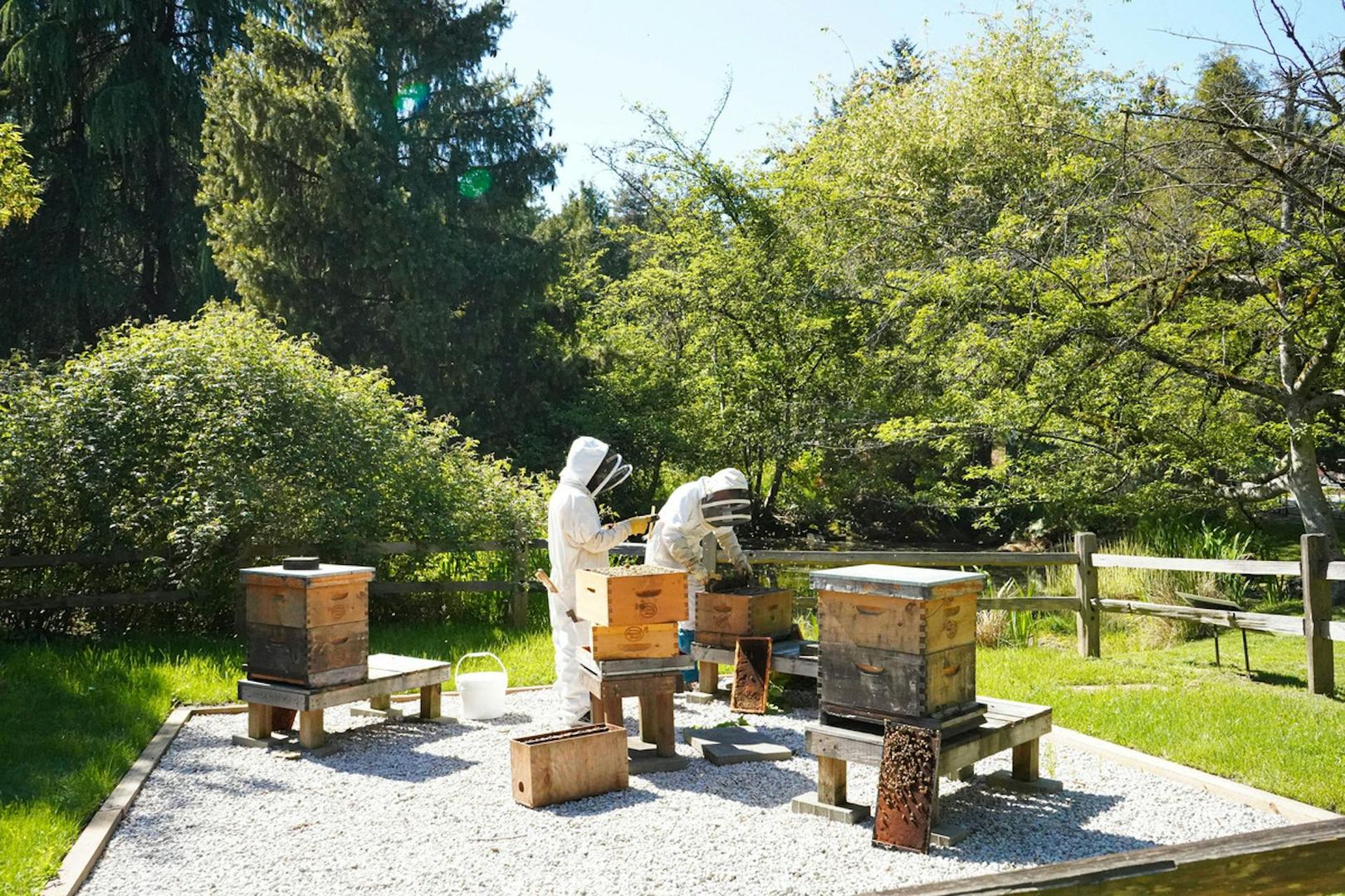 VanDusen Botanical Garden: Entry Ticket