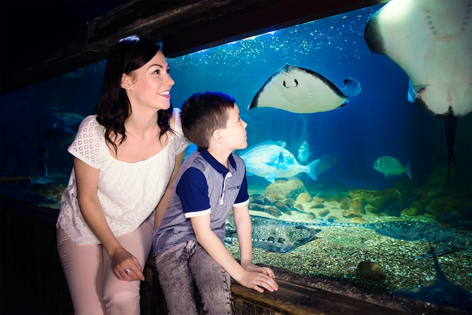 SEA LIFE Blankenberge: Entry Ticket