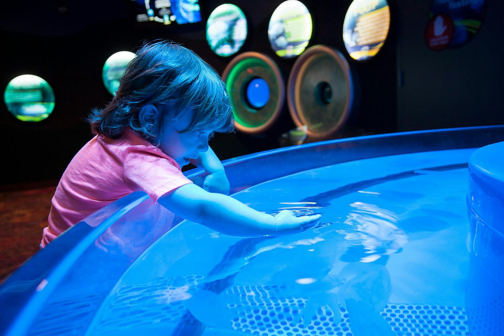 Ripley's Aquarium Myrtle Beach: Entry Ticket