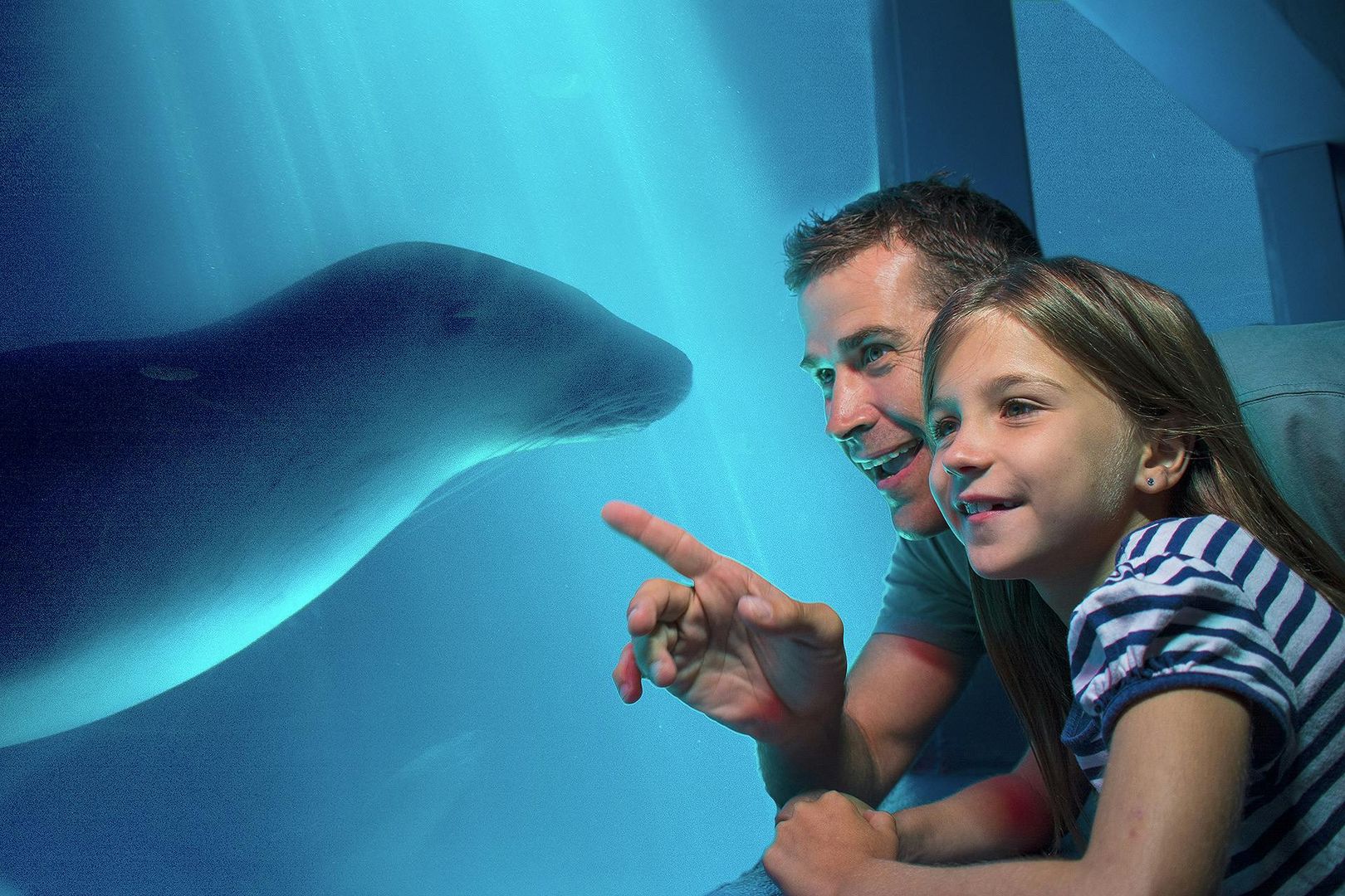 SEA LIFE Sunshine Coast: Entry Ticket