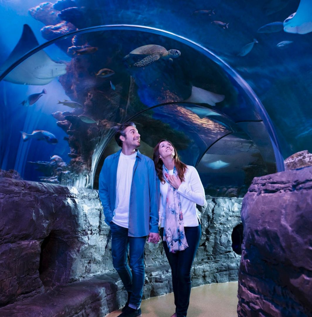 SEA LIFE Orlando & Madame Tussauds: Entry Ticket + Digital Photo