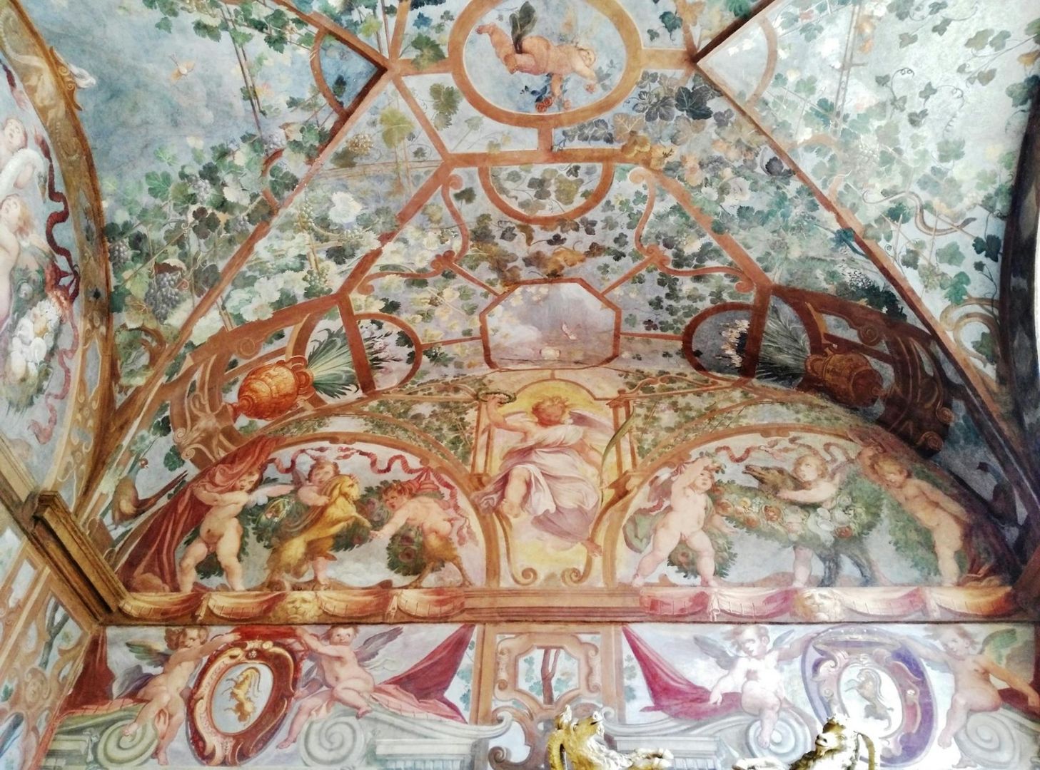 Tour Image