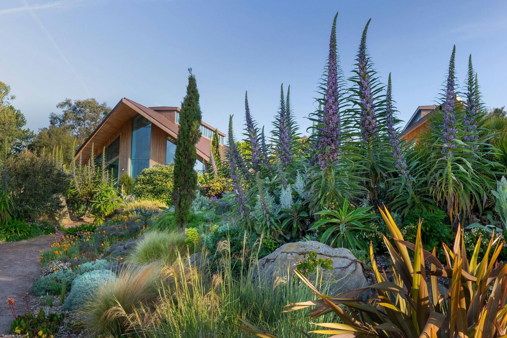 RHS Garden Hyde Hall: Entry Ticket