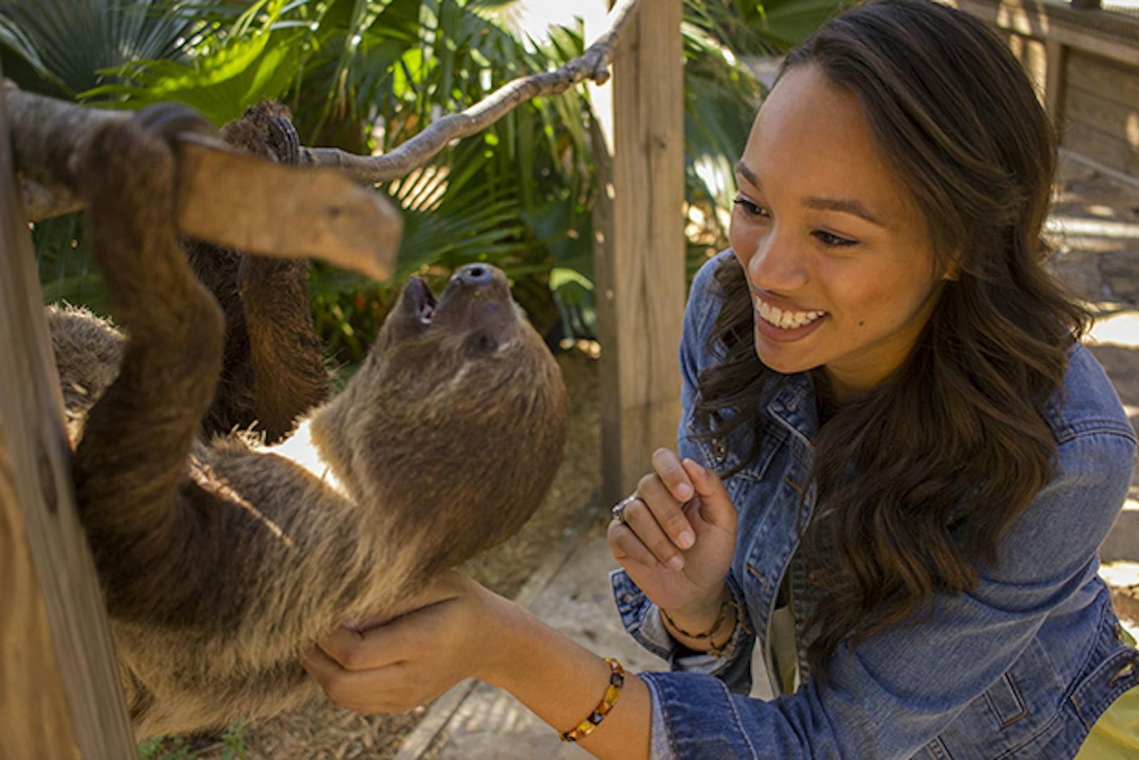 Wild Florida Gator Park Admission