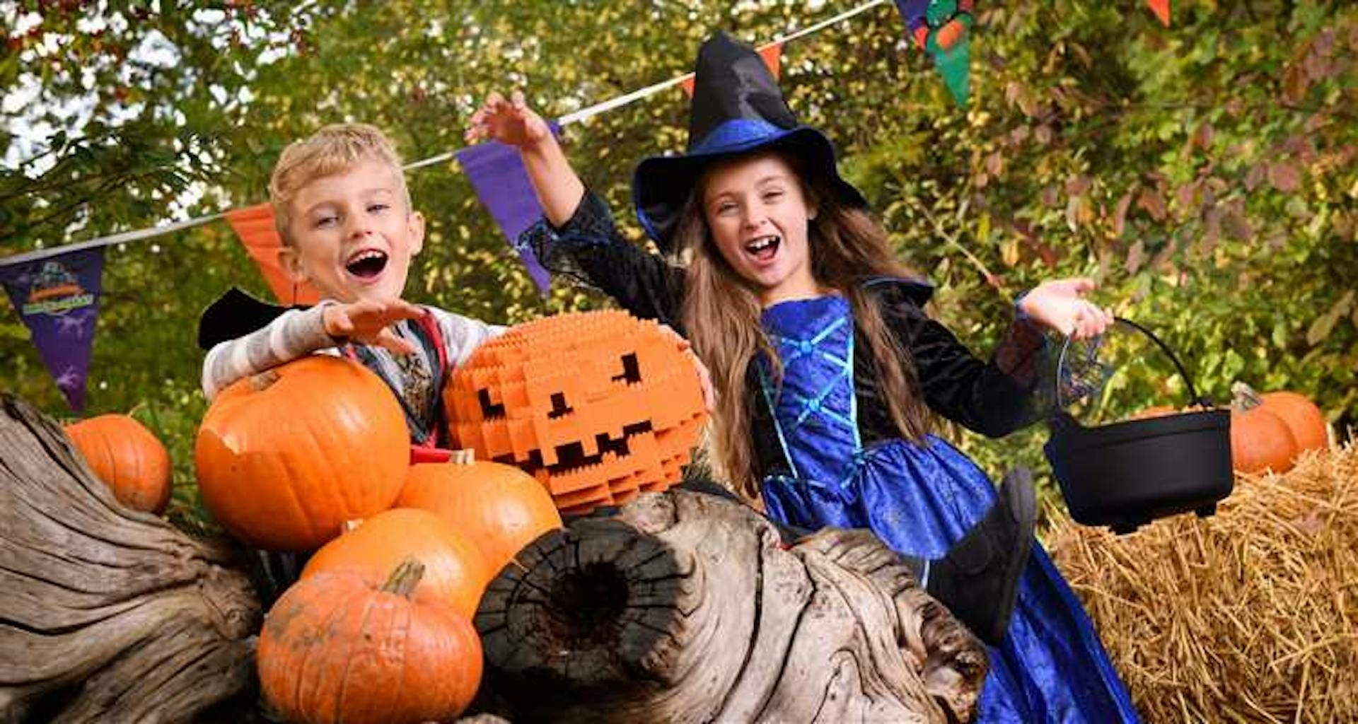 LEGOLAND® Discovery Center Westchester: Entry Ticket