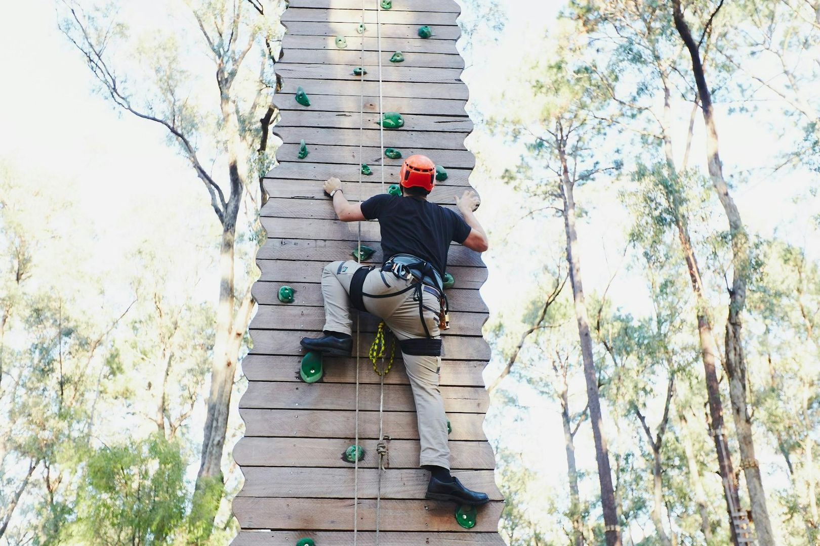 Forest Adventures Park Entry