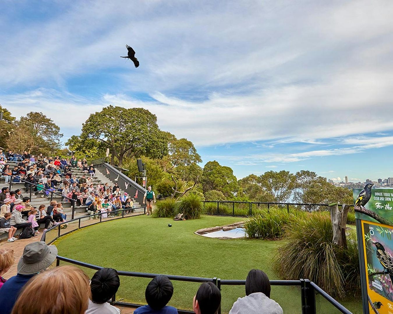 Taronga Zoo Sydney: Entry Ticket
