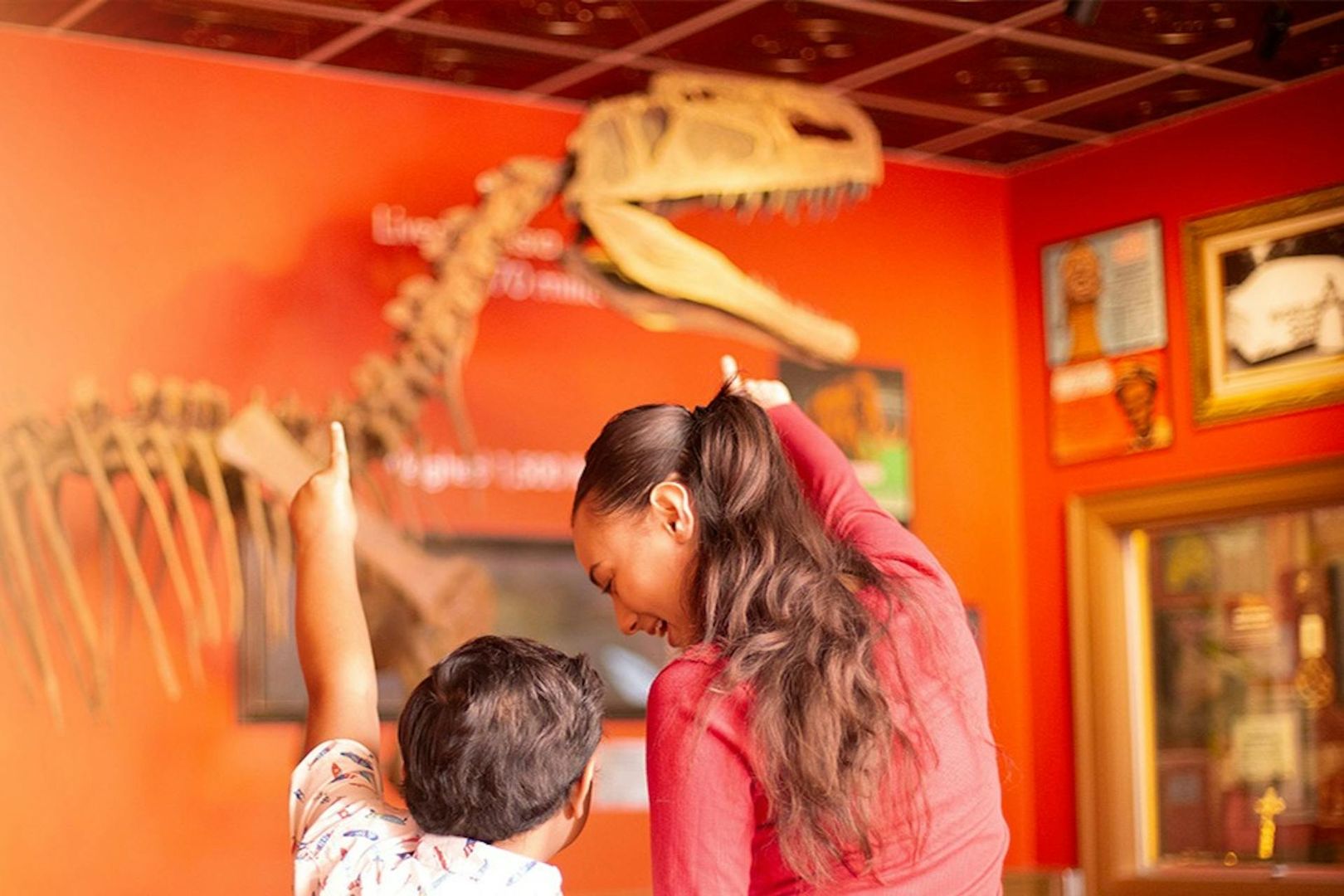 Ripley's Believe It or Not! Niagara Falls: Entry Ticket