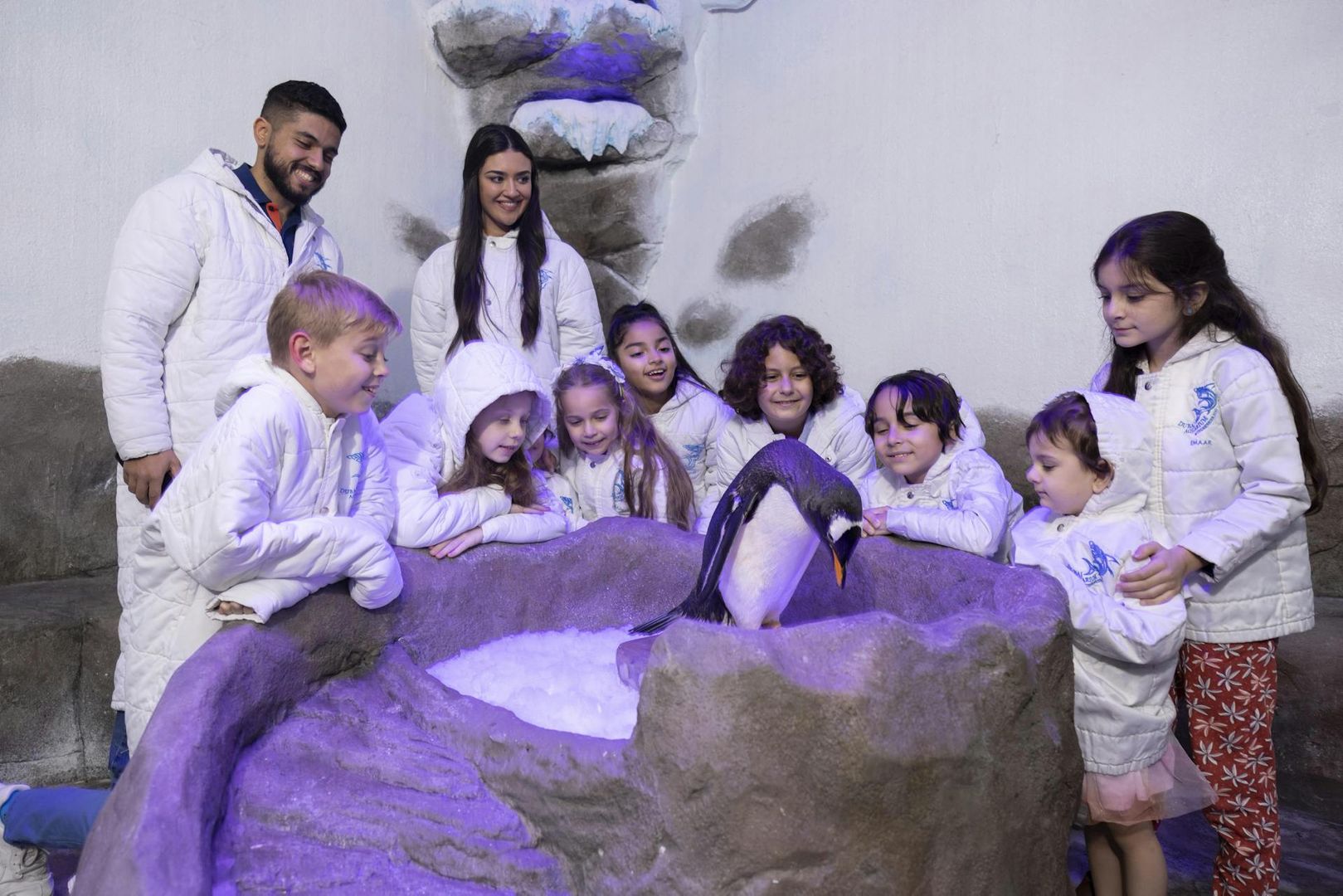 Dubai Aquarium & Underwater Zoo: Entry Ticket + Penguin Encounter
