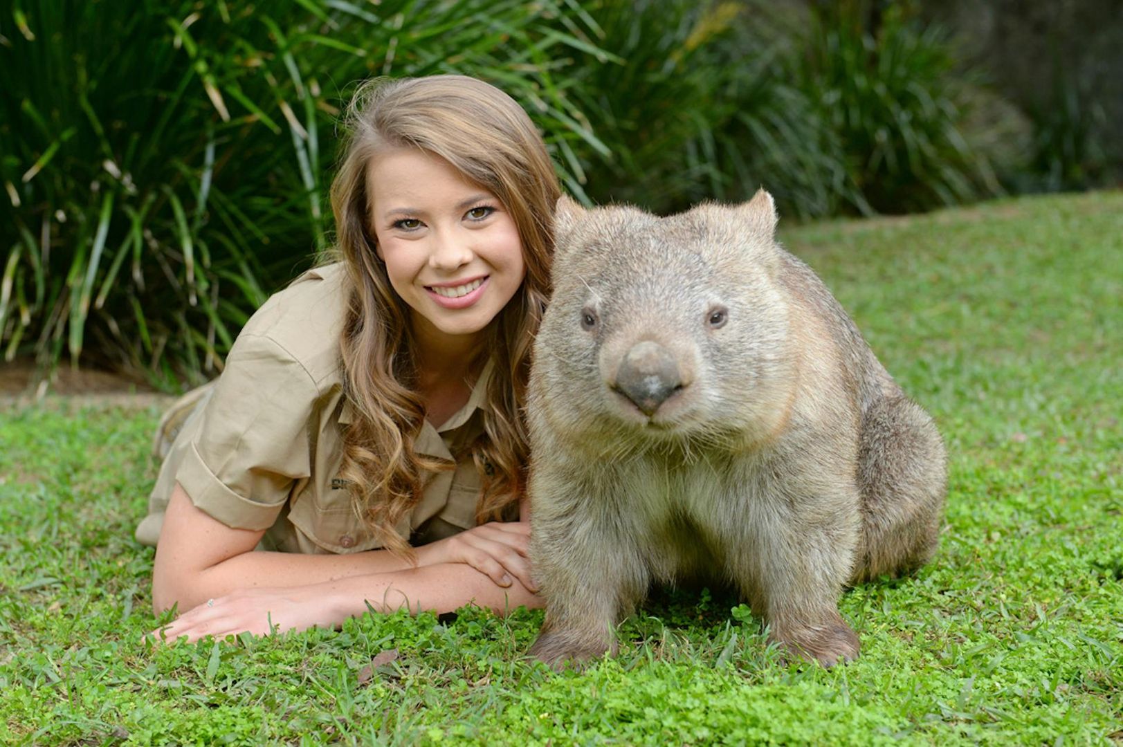 Australia Zoo: Entrance + Transfer from Brisbane
