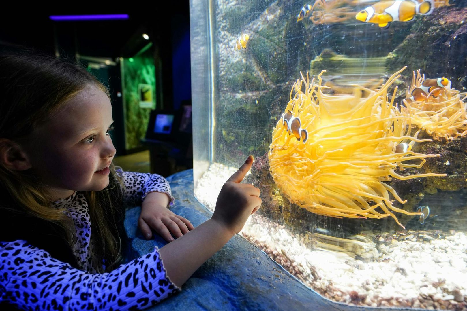 SEA LIFE Грейт-Ярмут: Входной билет
