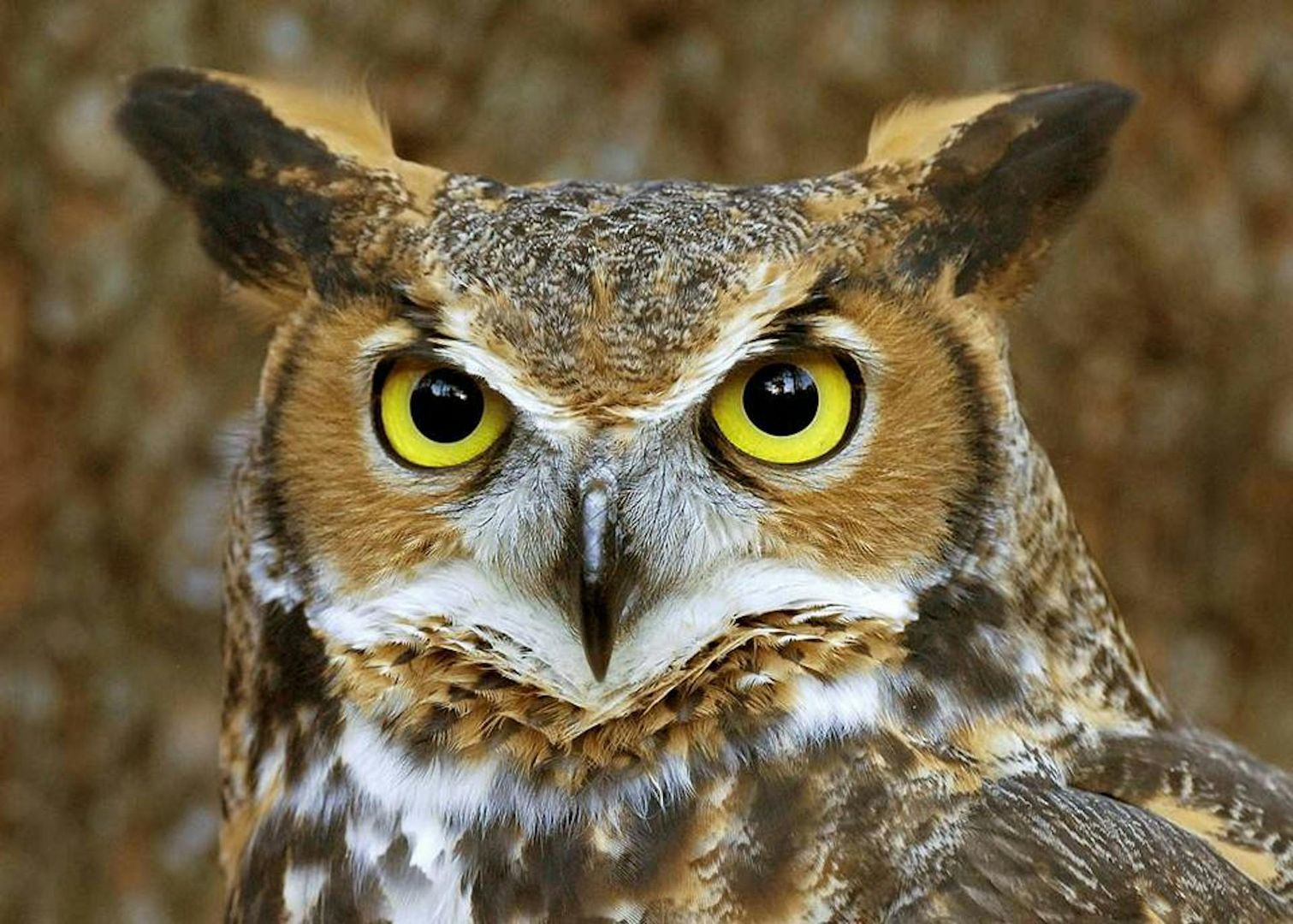 World of Birds Wildlife Sanctuary & Monkey Park: Entry Ticket
