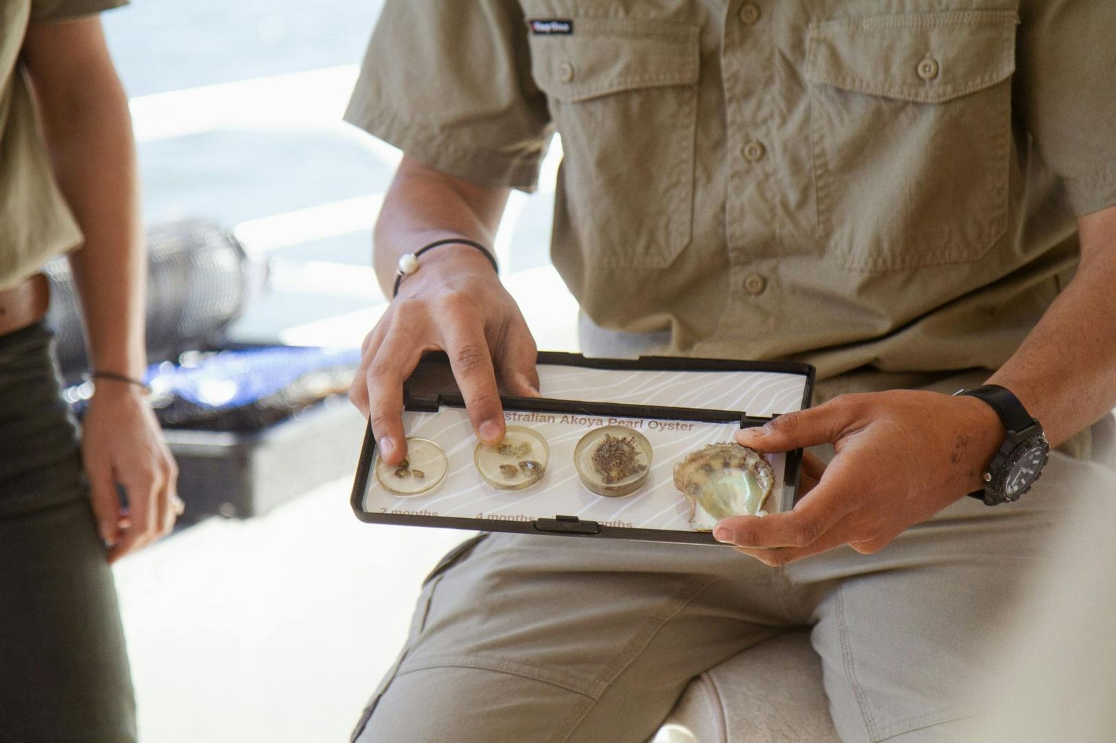 Broken Bay Pearl Farm: Entry + Boat Cruise