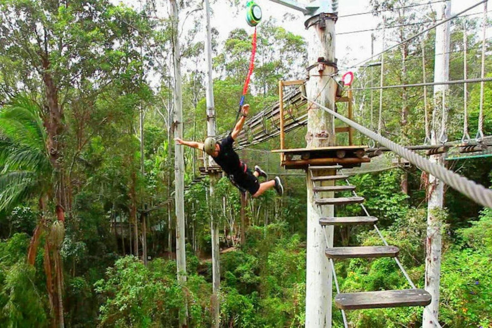 Currumbin Wildlife Sanctuary and TreeTop Challenge: Combo Ticket