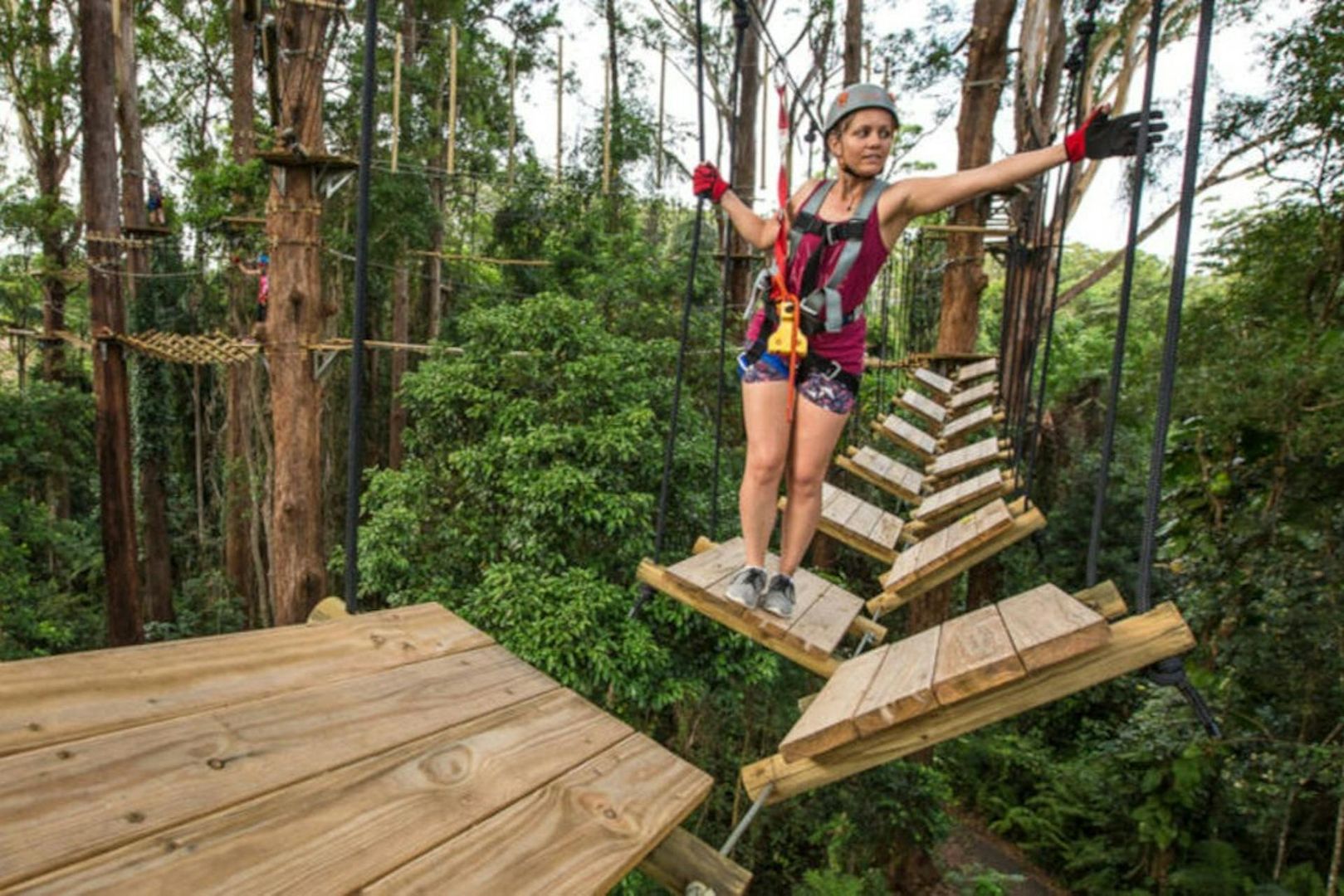 TreeTop Challenge Sunshine Coast: Admission Ticket