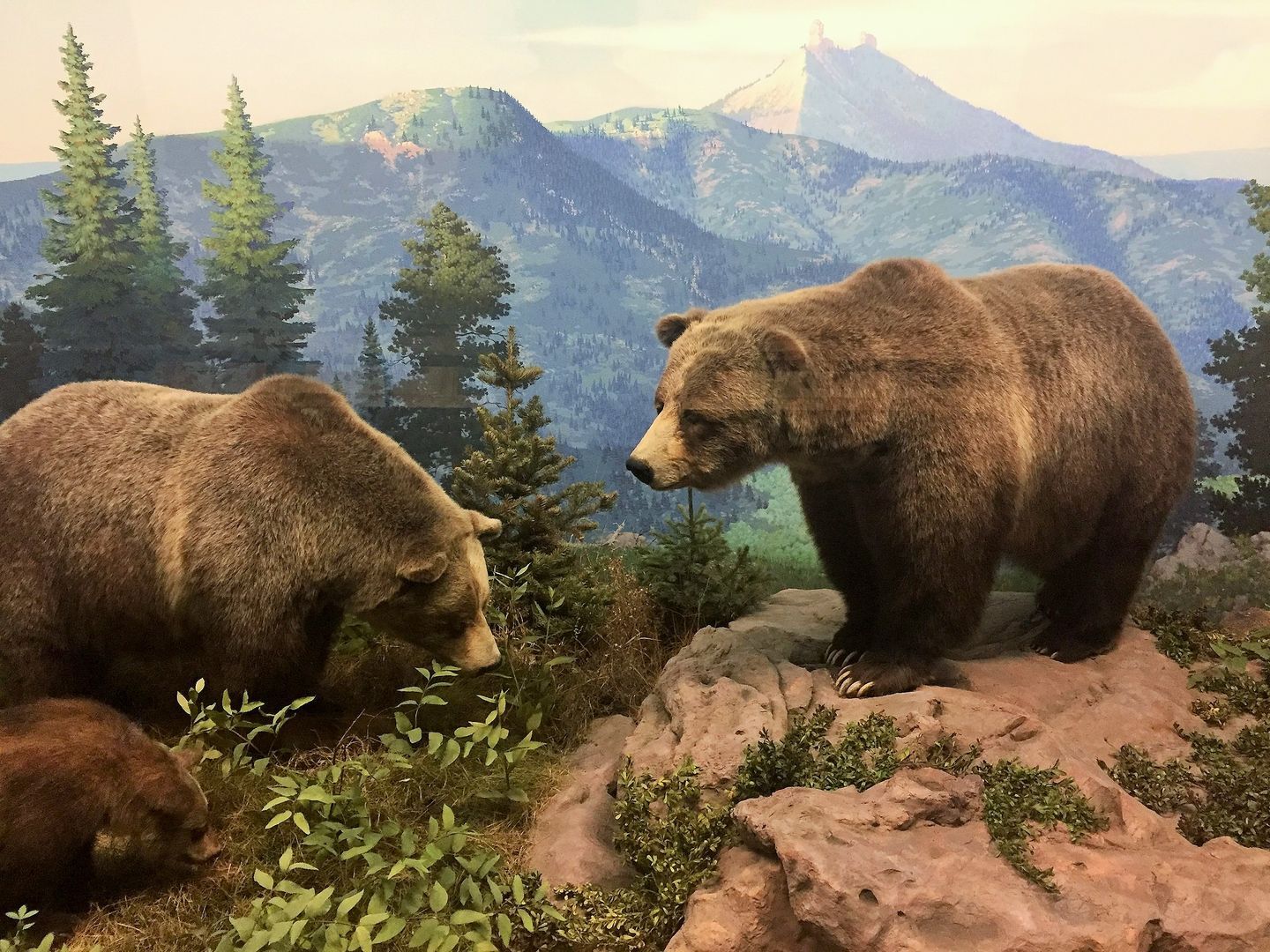 Denver: Museum of Nature and Science Self-Guided Audio Tour (Without a Ticket) episode artwork