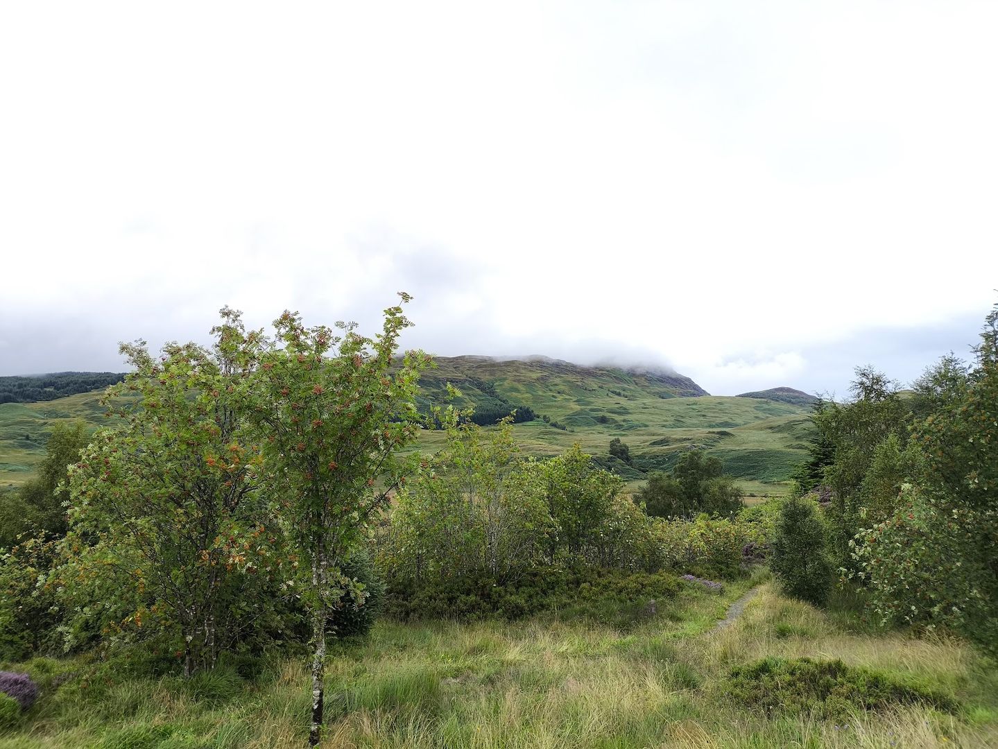 Glasgow to Fort William: Self-Driving Audio Tour through the Highlands episode artwork