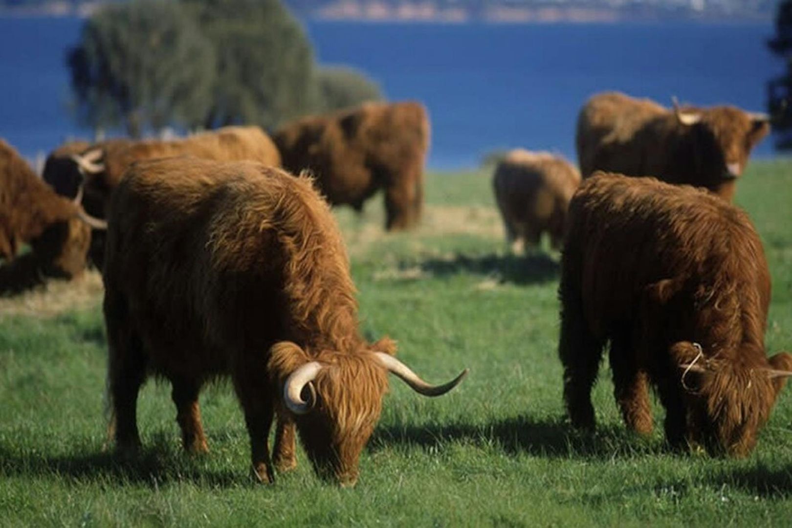 Остров Филиппа: входной билет на остров Черчилля