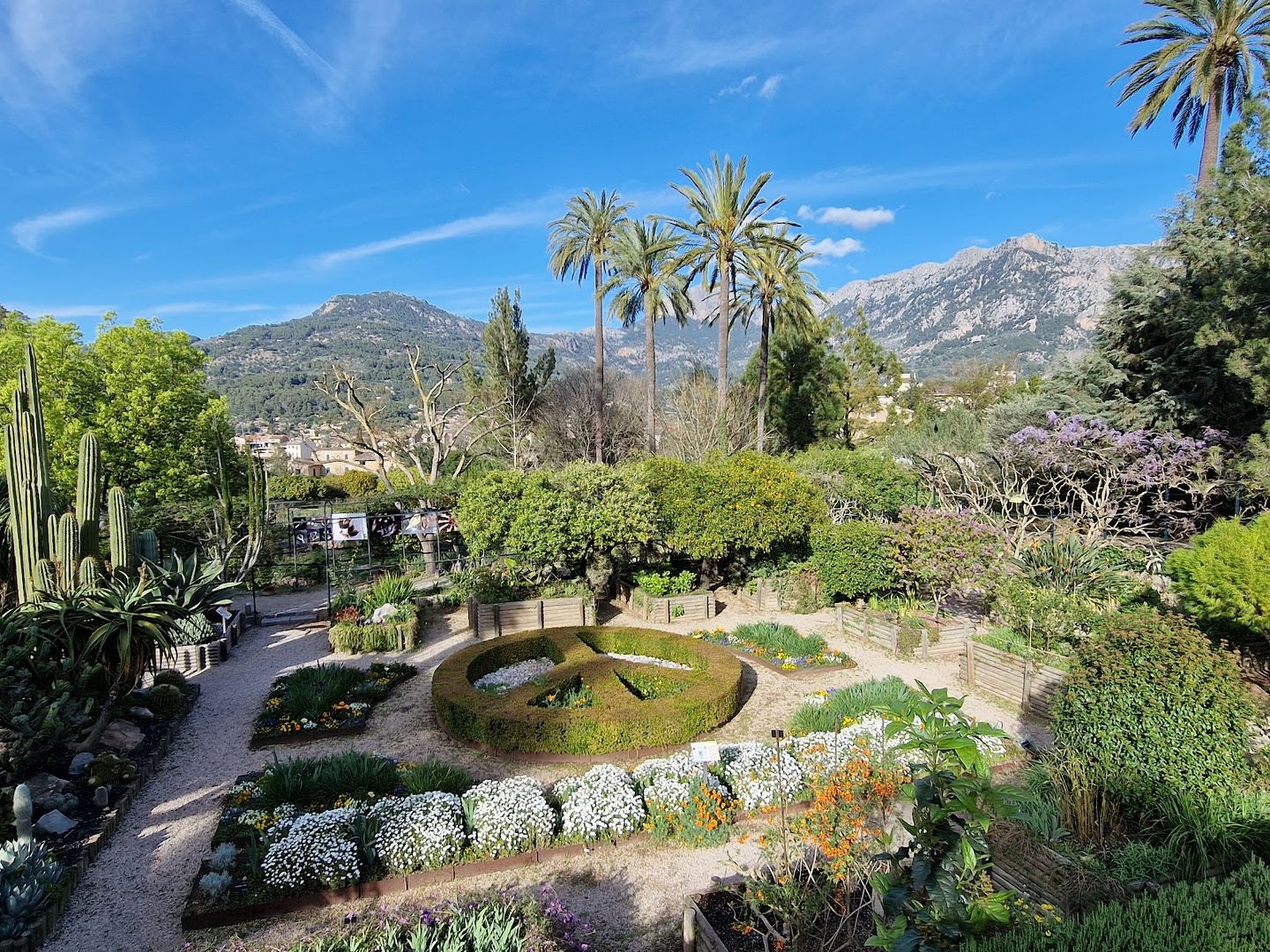 Sóller: Self-Guided Audio Walk Through Mallorca’s Native Flora episode artwork